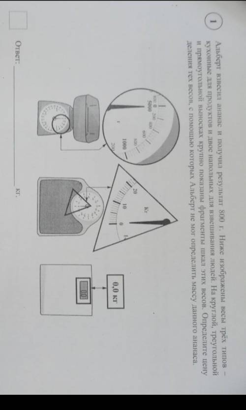 Альберт взвесил ананас и получил результат 800г. Ниже изображены весы трёх типов-кухонные для продук