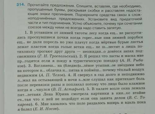 Вставьте, где необходимо, пропущенные буквы, раскрывая скобки и расставляя недостающие знаки препина