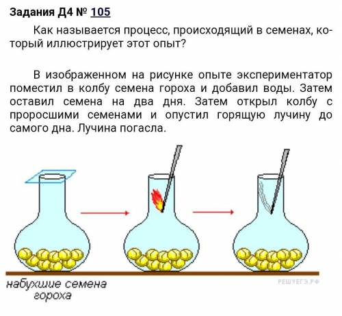 подскажите что за процесс​