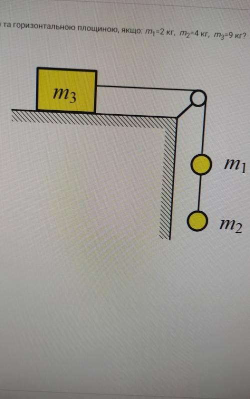 Система тіл, зображених на малюнку, рухається рівномірно. Яким є коефіцієнт тертя між тілом (m3) та