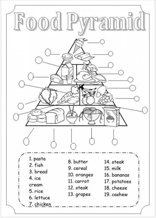 Food Pyramid 1. pasta 2. fish 3. bread 8. butter 14. steak 9. cereal 15. milk 10. oranges 16. banana