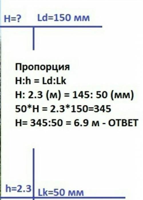 На ри­сун­ке изоб­ра­же­ны куст и де­ре­во. Вы­со­та куста со­став­ля­ет 2,3 м. Опре­де­ли­те вы­со­