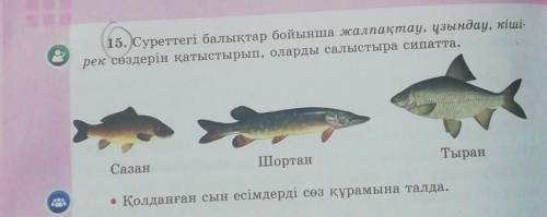 15. Суреттегі балықтар бойынша жалпақтау, ұзындау, кіші- рек сөздерін қатыстырып, оларды салыстыра с