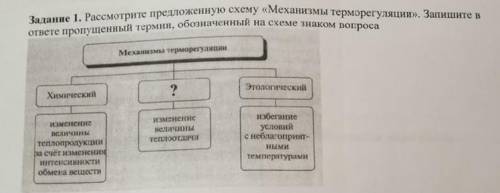 ￼￼Рассмотрите предложенную схему Механизмы терморегуляция. Запишите в ответе пропущенный термин, о