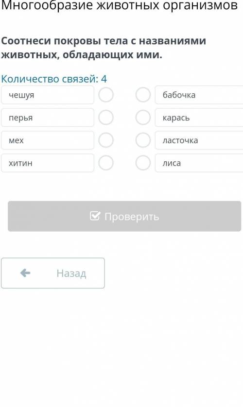 Многообразие животных организмов Соотнеси покровы тела с названиями животных, обладающих ими.Количес