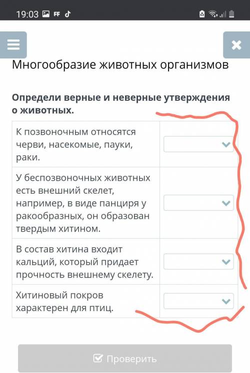 Многообразие животных организмов Определи верные и неверные утверждения о животных.К позвоночным отн