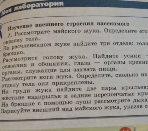 Моя лаборатория Изучение внешнего строения насекомого1. Рассмотрите майского жука. Определите его ра