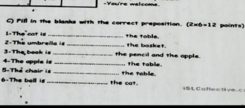 Fih inblanks with the.correct phe positio1 The cat is​