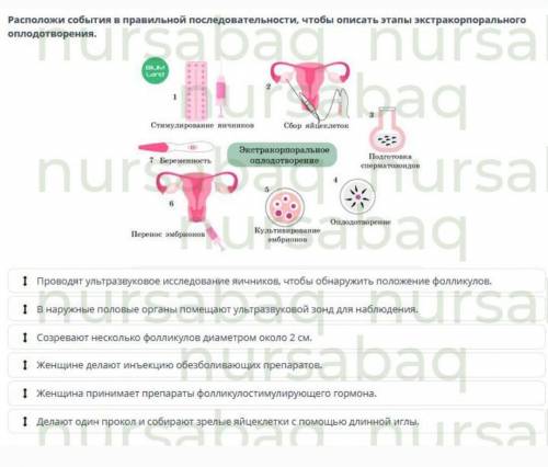 биология 11 класс онлайн мектеп ​