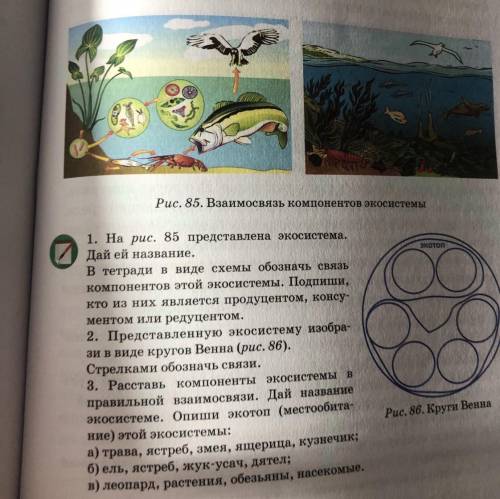 1. На рис. 85 представлена экосистема. Дай ей название. ся) X 2 в тетради в виде схемы обозначь связ