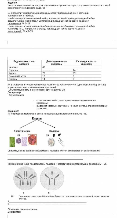 Задание 1 Число хромосом во всех клетках каждого вида организма строго постоянно и является точной х