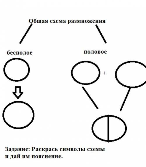 Задание: Раскрась символы схемыи дай им пояснение. ​