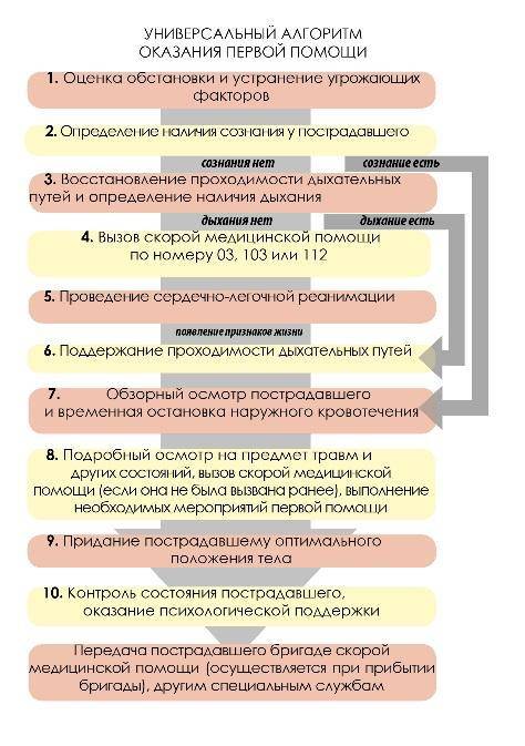 Распишите алгоритм оказания первой если я остался один дома. .​