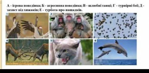 /НУЖНО ВИЗНАЧИТИ ПРОЯВ ПОВЕДІНКИ,ФОРМА ПОВЕДІНКИ,НАПРАВЛЕНІСТЬ ПОВЕДІНКИ СМОТРЕТЬ НА СКРИНН ​