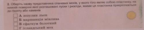 2. Оберіть назву представника сланевих мохів, у якого тіло являє собою пластинку, на Нижній поверхні