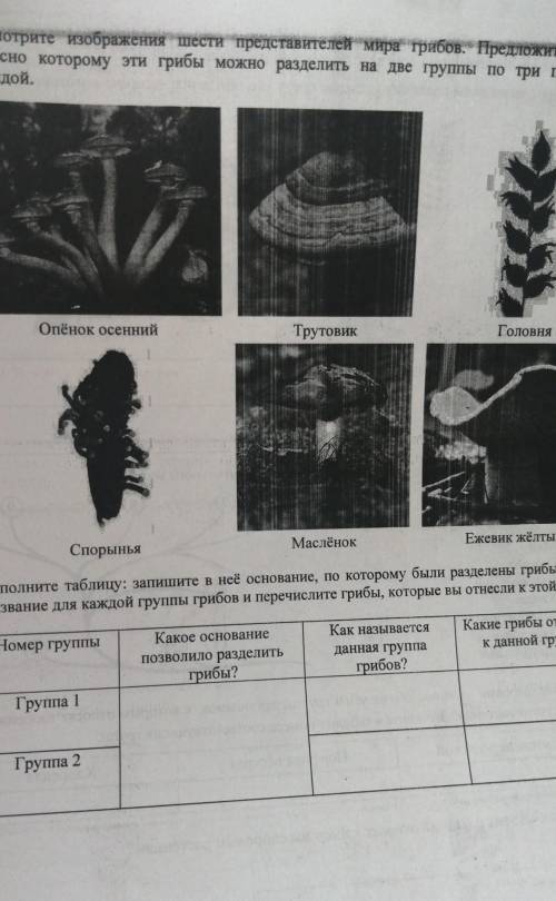 Биология. 7 класс. Вариант 1 Рассмотрите изображения шести представителей мира грибов. Предложите о