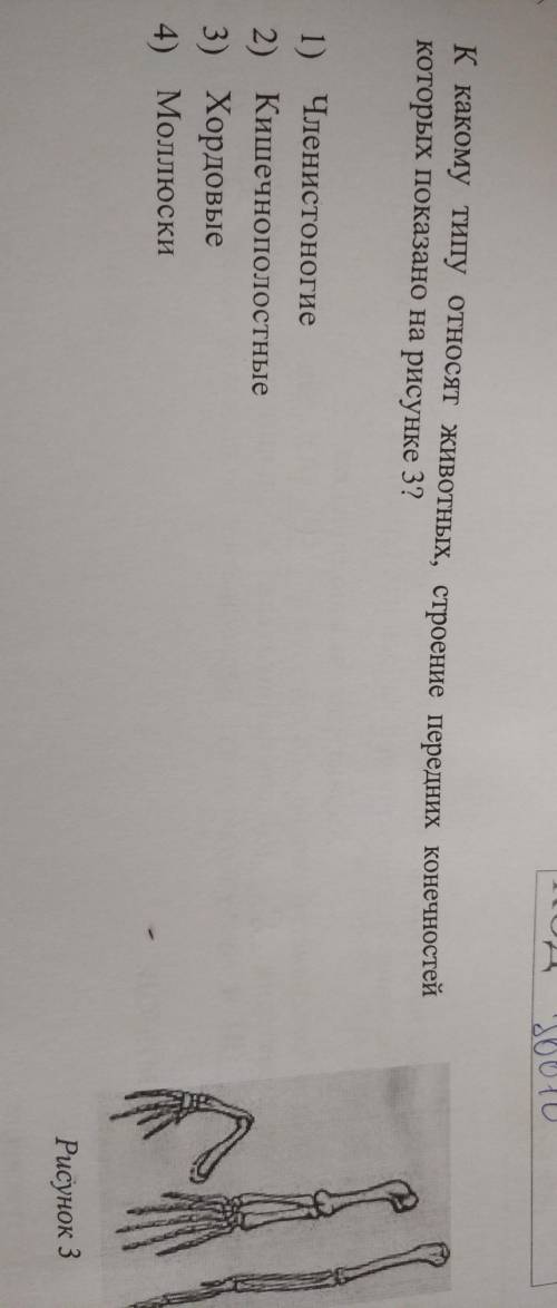 К какому типу относятся животных, строение передних конечностей которых показано на рисунке ​