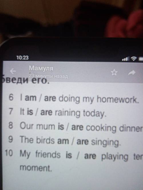 Как правильно, I am/are doing my homework.It is/are raining today. O