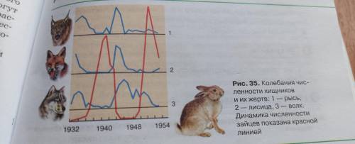 Описать что происходит на графике словами 2-3 предложения