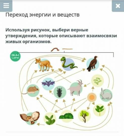 Верных ответов 2Пищевая сеть образования пищевыми цепями.Солнце- источник энергии для продуцентов.Пи