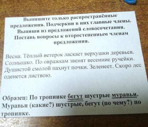 Выпишите только распространение предложения. Подчеркии в них главие члены,Выпиши из предложений слов