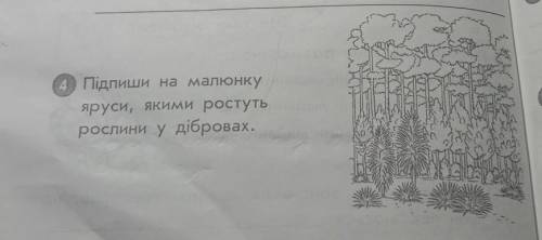 Підпиши на малюнкуяруси, якими ростутьрослини у дібровах.​