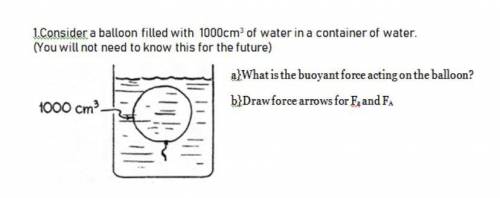 Consider a balloon filled with 1000cm3 of water in a container of water. a)What is the buoyant force