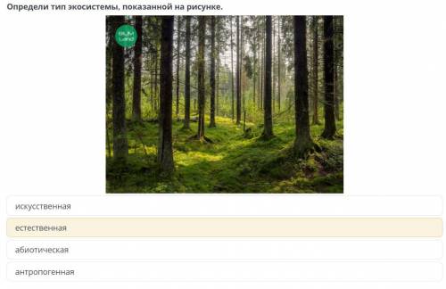 Естествознание. Естественные и искусственные экосистемы. искусственная, естественная, абиотическая,