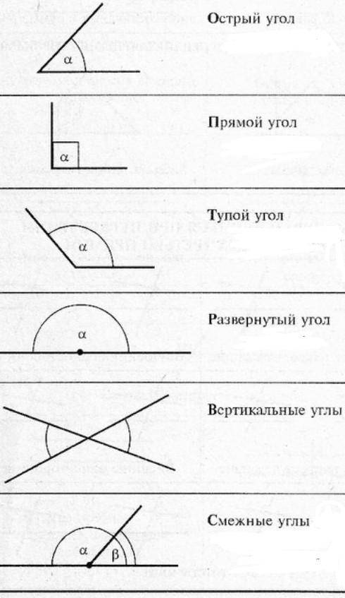 Нарисовать все виды углов и названия​