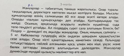 Найдите в тексте имена существительные в падёжной форме. .