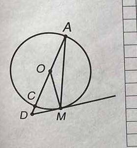Кут між діаметром АС та хордою АМ кола дорівнює 25°. Через точку м про ведено дотичну до кола, яка п