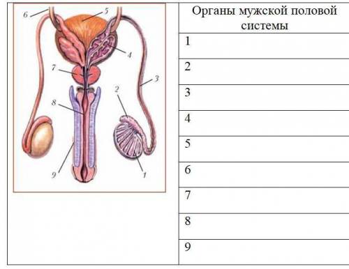 очень надо с Биологией,просто дополнить таблицу