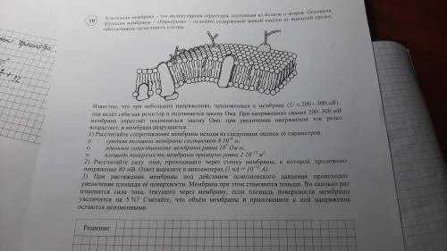 Клеточная мембрана- это молекулярная структура, состоящая из белков и жиров. Основная функция мембра