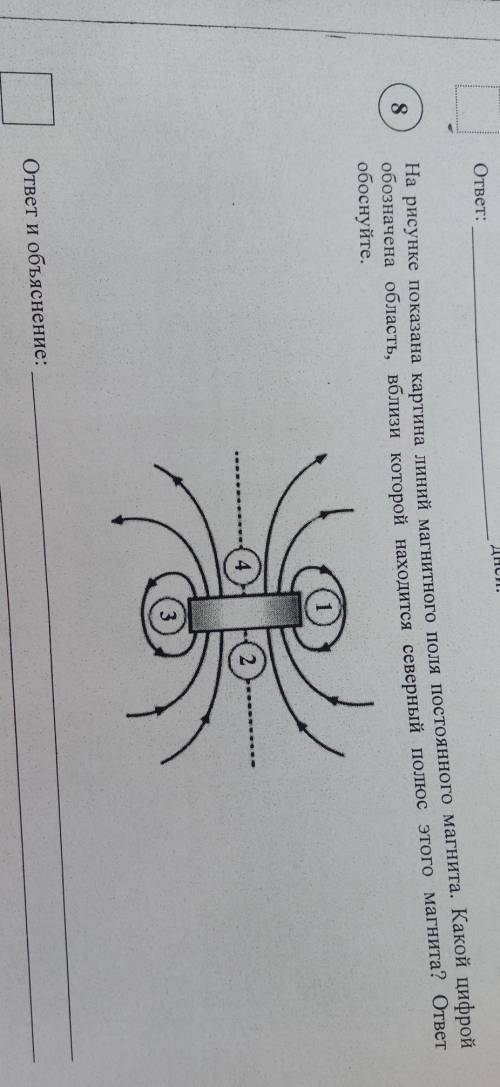 На рисунке показана картина линий магнитного поля постоянного магнита. Какой цифрой обозначена облас