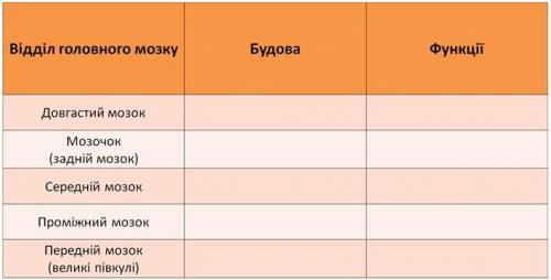 , Використовуючи підручник та додаткові джерела інформації, заповніть таблицю «Будова головного мозк