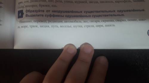 Образуйте от неодушевленных существительных одушевленные.Выделите суффиксы одушевленных существитель