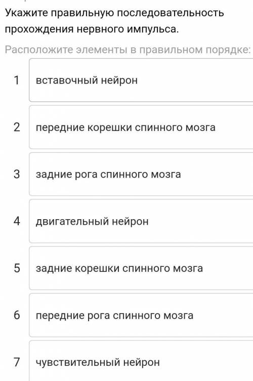 Укажите правильную последовательность прохождения нервного импульса.​