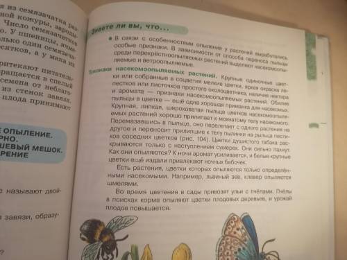Сделайте конспект по биологии этих 2-х страниц
