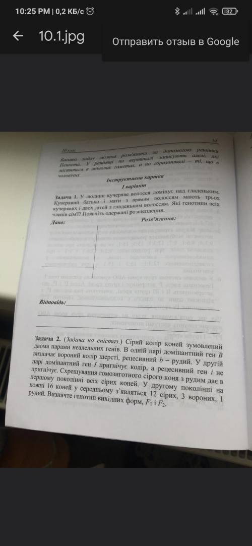 Сірий колір коней зумовлений двома парами неалельних генів. В одній парі домінантний ген В визначає