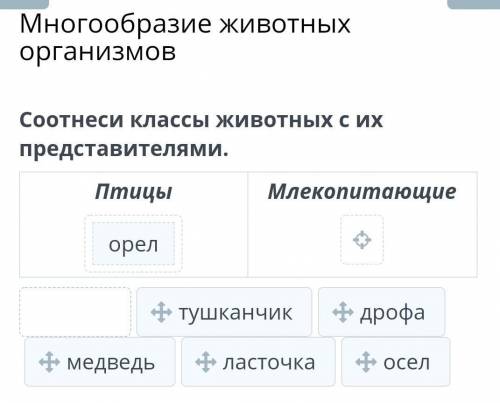 Многообразие животных организмов Соотнеси классы животных с представителями. Птицы их Млекопитающие 