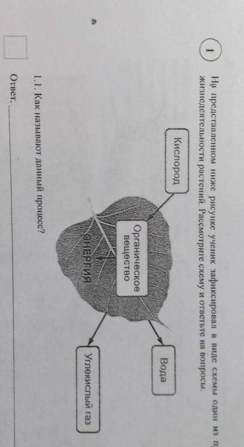На представленном ниже рисунке ученик зафиксировал в виде схемы один из изнедеятельности растений. Р