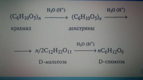Під час гідролізу крохмалю утворюється:​