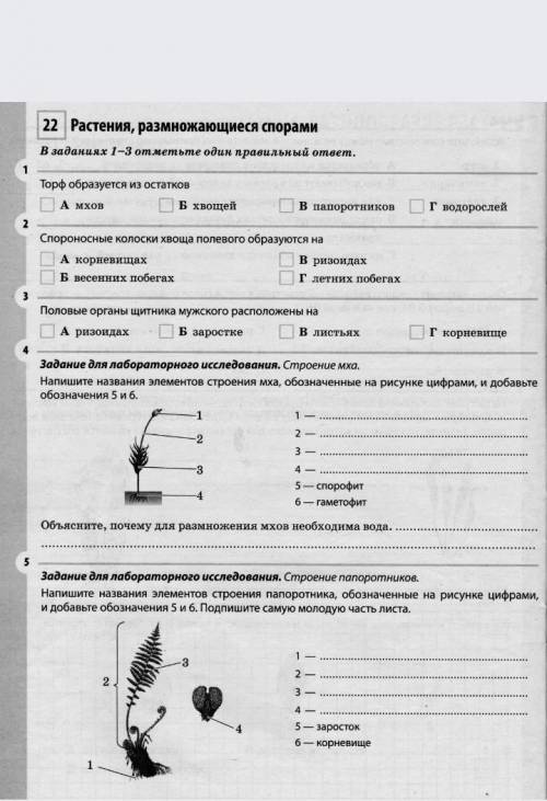 если ответите по типу хз,посмотри в интернете,и т.д сразу бан​