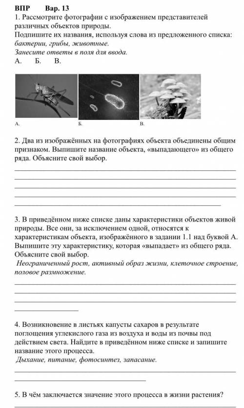 , сделать впр по биологии за 5 класс (сама просто не бум бум в ней(