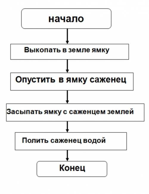 Определи тип алгоритма, выбрав верный ответ.​