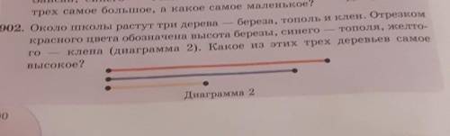 около школы растут три дерева-береза,тополь и клён.Отрезком красного цвета обозначена высота берёзы,