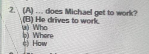 2. (A) --- does Michael get to work?(B) He drives to worka) Whob) Where ​