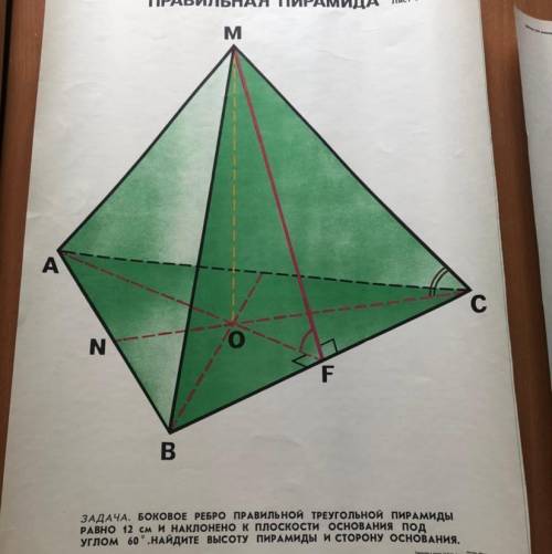 Боковое ребро правильной треугольной пирамиды равно 12 см и наклонено плоскости основания под углом 