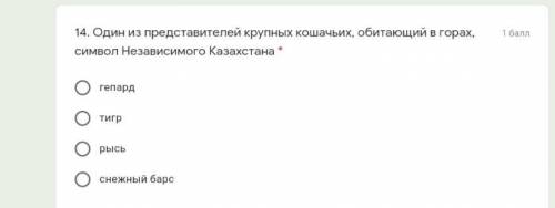 Один из представителей крупных кошачьих, обитающий в горах, символ Независимого Казахстана * гепардт