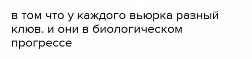 Докажите, что разные виды вьюрков на Галапагосских о-вах образовались в результате дивергенции. по б